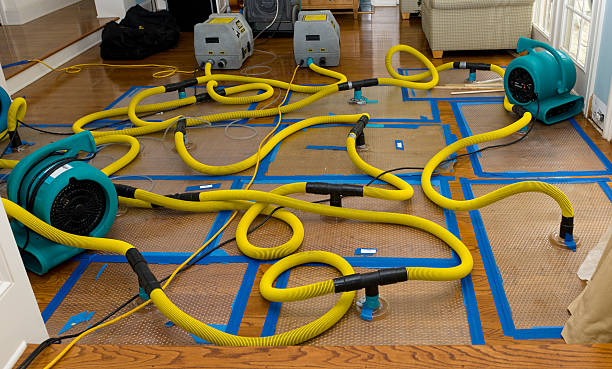 Professional Crawl Space Water Removal technician working in Fairfield, CT